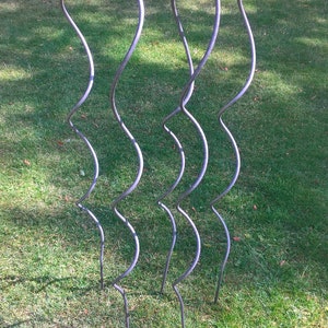 May include: Five metal plant supports in a spiral shape, standing upright in a grassy area. The supports are a light silver color.