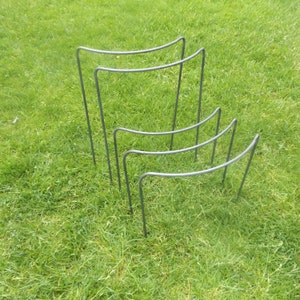 May include: Four black metal plant supports, also known as plant cages, are arranged in a row on a green grassy lawn. The supports are made of sturdy wire and are designed to help plants grow upright.