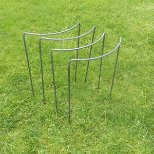 May include: Set of four black metal plant supports, each with a curved top, standing upright in a grassy lawn.