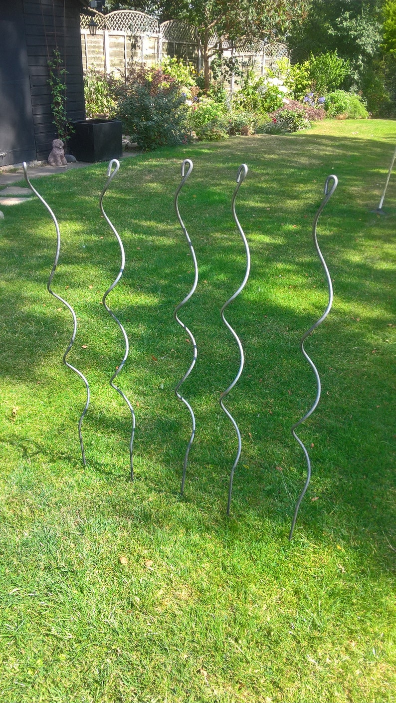 May include: Five metal plant supports in a garden setting. The supports are made of a thin, flexible metal and are shaped like a spiral. They are all the same size and are standing upright in the grass.