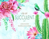 60 OFF SALE Watercolor Floral Digital Clip Art, Succulent Clip Art, Cactus clipart, Aloe Vera, Cacti, Plant, Botanical Greenery PNG, Diy