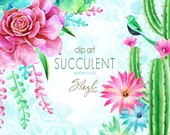 60 OFF SALE Watercolor Floral Digital Clip Art, Succulent Clip Art, Cactus clipart, Aloe Vera, Cacti, Plant, Botanical Greenery PNG, Diy