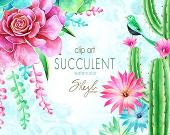 Watercolor Succulents Cliparts Weddings Cactus Clip Art Flower Bouquet Stones and Pebbles Graphics for Personal and Commercial Use