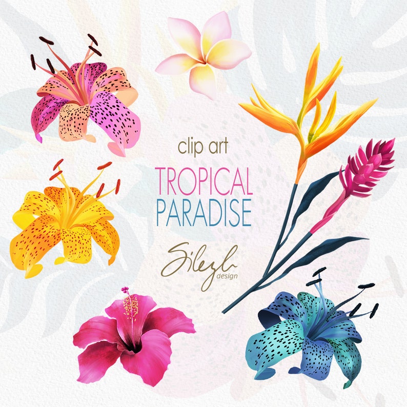 May include: Clip art of tropical flowers in various colors, including pink, yellow, orange, blue, and red. The flowers are arranged in a bouquet with green leaves and the text "clip art TROPICAL PARADISE Silezy design".