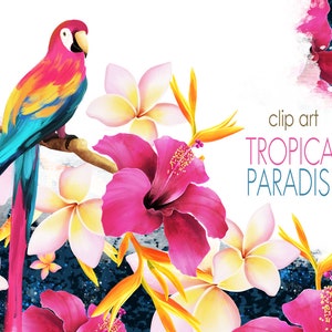 May include: Clip art featuring a tropical paradise scene with a vibrant pink and blue parrot perched on a branch with pink hibiscus flowers, white plumeria flowers, and yellow bird of paradise flowers. The text "clip art TROPICAL PARADISE" is in the upper right corner.
