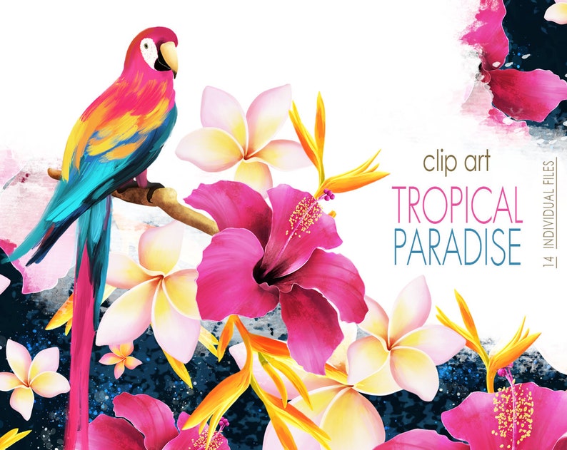 May include: Clip art featuring a tropical paradise scene with a vibrant pink and blue parrot perched on a branch with pink hibiscus flowers, white plumeria flowers, and yellow bird of paradise flowers. The text "clip art TROPICAL PARADISE" is in the upper right corner.