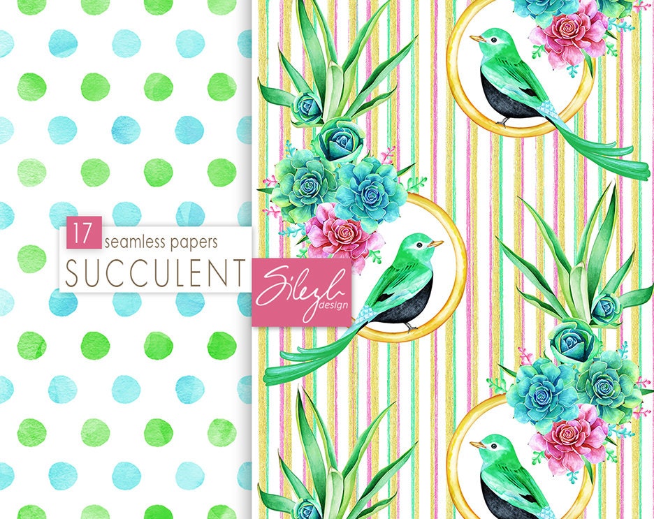 Digital Cactus Paper Watercolor Succulent Papers Seamless - Etsy