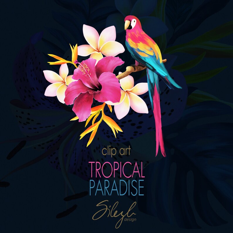 May include: A vibrant tropical paradise clip art design featuring a pink hibiscus flower, white plumeria flowers, and a colorful parrot with a long tail. The background is a dark blue with green foliage.