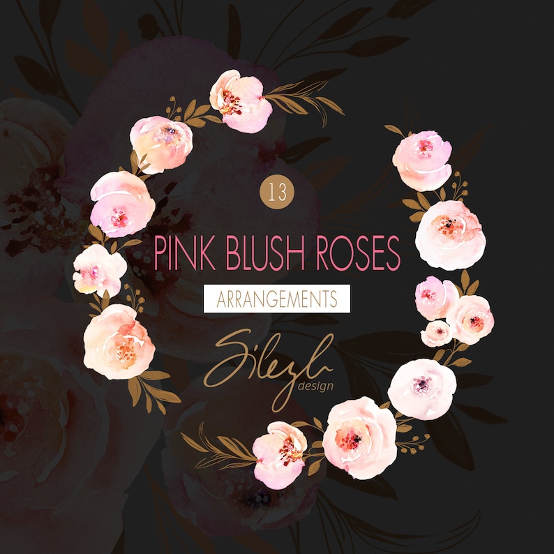 May include: A watercolor wreath of pink blush roses with gold accents. The wreath is on a black background and has the text "13 PINK BLUSH ROSES ARRANGEMENTS Sizyla design" in the center.