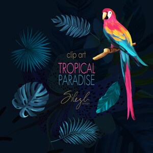 May include: Clip art illustration of a tropical paradise with a parrot, palm leaves, and the text "clip art TROPICAL PARADISE Sizyla design".