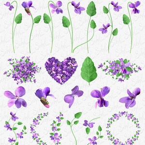 Spring Floral Digital Clipart, Purple Violet Flower Clip Art, Wild Flowers PNG, Floral bouquets Clipart, Botanical Clipart,Garden Violet PNG image 2