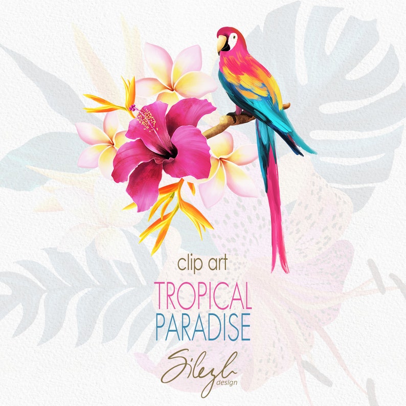 May include: A vibrant pink hibiscus flower with white plumeria flowers and a blue and red parrot perched on a branch. The background features tropical leaves and a watercolor effect. The text "clip art TROPICAL PARADISE Silezh design" is at the bottom of the image.
