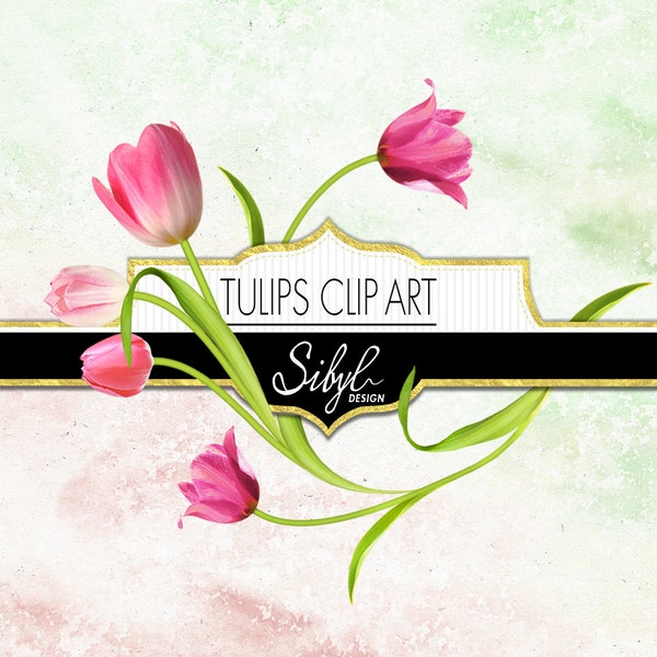 Digital Tulips Clipart, Spring Flower Clip Art, Floral Elements Clipart, Tulip PNG Clipart, Tulip Bouquets Clipart, Digital Floral PNG