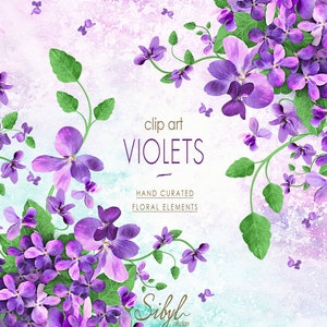 Clipart digital floral de primavera, clipart de flor violeta roxa, flores silvestres PNG, clipart de buquês de flores, clipart botânico, violeta de jardim PNG