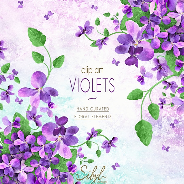 Spring Floral Digital Clipart, Purple Violet Flower Clip Art, Wild Flowers PNG, Floral bouquets Clipart, Botanical Clipart,Garden Violet PNG