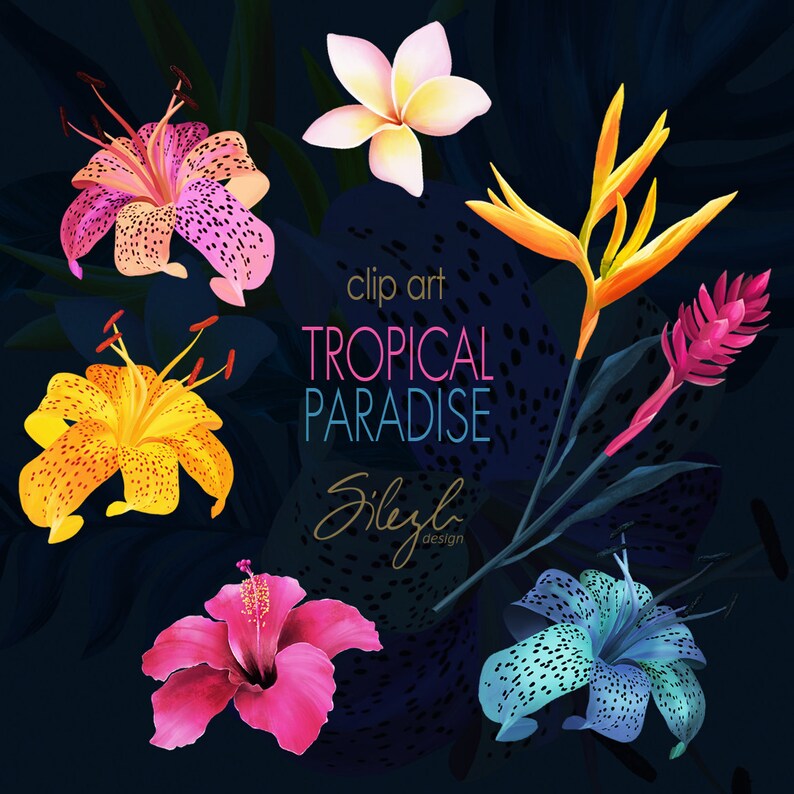 May include: Clip art featuring tropical flowers in a dark background. The flowers include a pink plumeria, a yellow lily, a pink hibiscus, a blue lily, a red ginger flower, and a yellow bird of paradise.