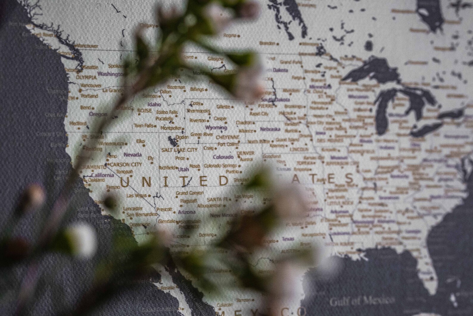 World Map on Canvas/push Pin Map on Canvas/100 Push Pins for - Etsy