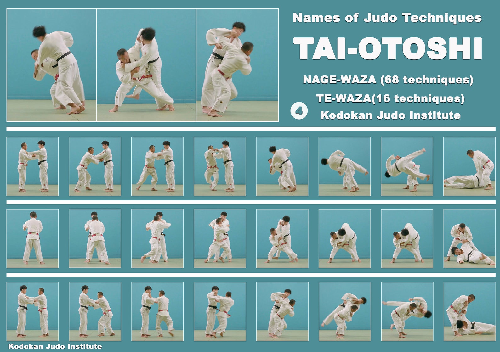 Posters JUDO. Set of 5 pieces.The technique of judo. Etsy