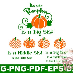 May include: A green and orange pumpkin graphic with the text "This cute pumpkin is a Big Sis! is a Middle Sis! is a Big Bro! is the Little Sis!"  SVG-PNG-PDF-EPS DXF