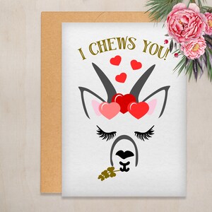 Könnte beinhalten: Eine weiße Karte mit einer schwarzen und grauen Lama-Illustration und dem Text "I CHEWS YOU!" in goldenen Buchstaben. Um den Kopf des Lamas sind rosa und rote Herzen.