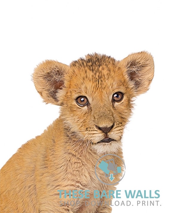 Imprimable Wall Art Bebe Lion Cub Print 1 Animal Creche Etsy
