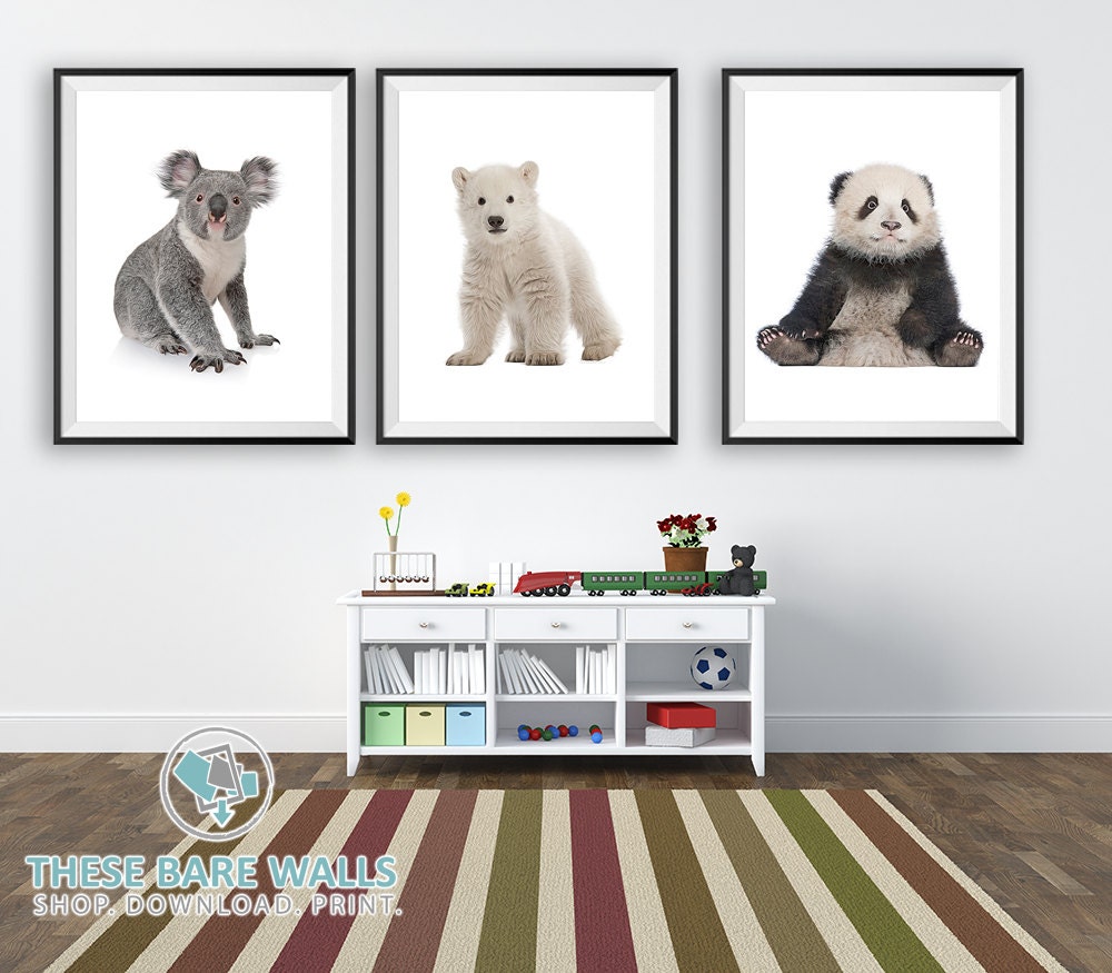 Koala Bear Print 2 Animal Nursery Prints Koala Bear Etsy Israel