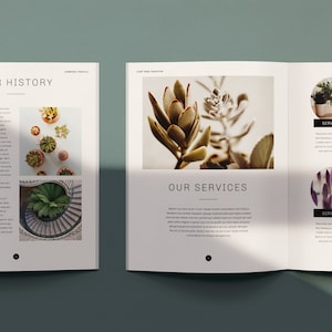 Small Business Brochure Template | Editable Canva Booklet | Spa Pamphlet | Salon Profile | Services and Pricing Guide | Esthetician