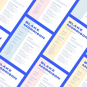 May include: A resume template with a colourful design. The template is divided into sections for contact information, education, summary, work experience, and skills. The name "Blake Morrison" is displayed in bold blue text at the top of the page.