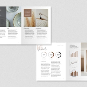 Puede incluir: Un documento de propuesta de proyecto con una imagen en blanco y negro de un cuenco de cer&aacute;mica en la p&aacute;gina izquierda. La p&aacute;gina derecha tiene una foto de un jarr&oacute;n con hierba de la pampa seca y una secci&oacute;n de texto titulada "Financials" con un gr&aacute;fico circular que muestra 20%, 50% y 50%.