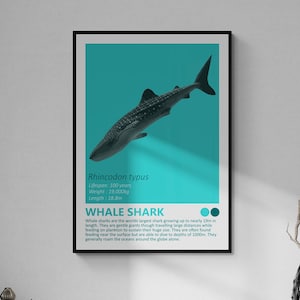 DIGITALE DOWNLOAD - Whale Shark - Fact Sheet Afdrukbare kunst, nautisch thema, Kids Room Home Decor, Ocean Minimalist Design, Moderne slaapkamer