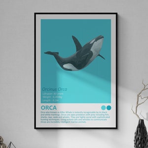 DIGITALE DOWNLOAD - Orca - Killer Whale - Fact Sheet, Afdrukbare kunst, Nautisch thema, Kinderkamer Home Decor, Ocean Modern Minimalistisch Design