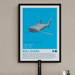 DIGITALE DOWNLOAD - Bull Shark - Fact Sheet, afdrukbare kunst, nautisch thema, kinderkamer Home Decor, oceaan minimalistisch design, moderne slaapkamer