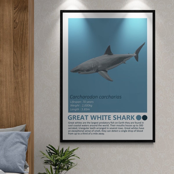 Great White Shark - Fact Sheet Art Print, Nautical Theme, Kids Room Home Decor, Jaws, Ocean Minimalist Design, Modern Children's Bedroom