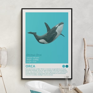 Orca - Killer Whale - Fact Sheet Art Print, Nautisch thema, Kinderkamer Home Decor, Oceaan Minimalistisch Design, Moderne Kinderslaapkamer