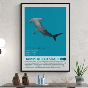 DIGITALE DOWNLOAD - Hammerhead Shark - Fact Sheet, Afdrukbare kunst, Nautisch thema, Kinderkamer Home Decor, Ocean Modern Minimalistisch Design