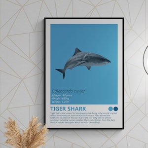 DIGITALE DOWNLOAD - Tiger Shark - Fact Sheet, Afdrukbare kunst, Nautisch thema, Kinderkamer Home Decor, Ocean Modern Minimalistisch Design