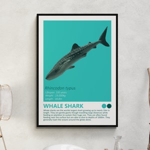 Walvishaai - Fact Sheet Art Print, Nautisch thema, Kinderkamer Home Decor, Ocean Minimalistisch Design, Moderne Kinderslaapkamer