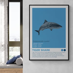 Tiger Shark - Fact Sheet Art Print, Nautisch thema, Kinderkamer Home Decor, Oceaan Minimalistisch Design, Moderne Kinderslaapkamer