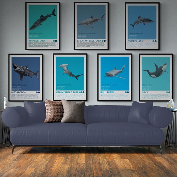 Sharks And Orca - Set Of 7 Art Prints - Great White, Tiger Shark, Hammerhead, Whale Shark, Killer Whale, Megalodon, Bull Shark, Fact Sheets