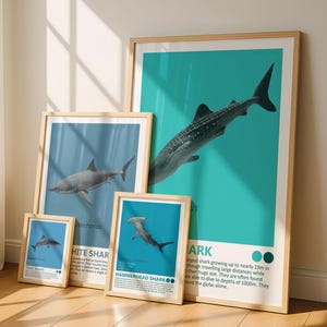 鮮やかなカラーの18x24インチのカリフォルニア海岸の魚類ポスター