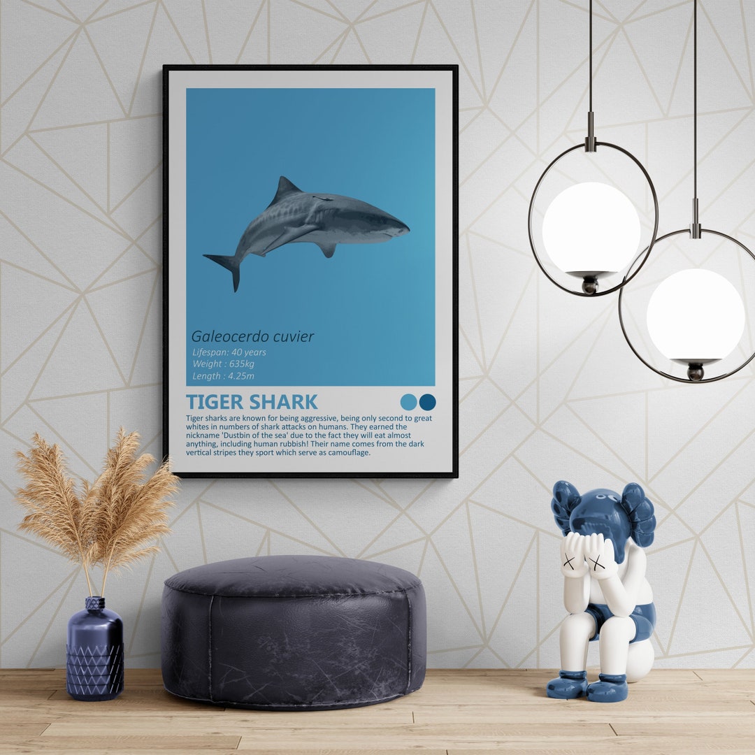 DIGITAL DOWNLOAD - Tiger Shark - Fact Sheet, Printable Art, Nautical ...