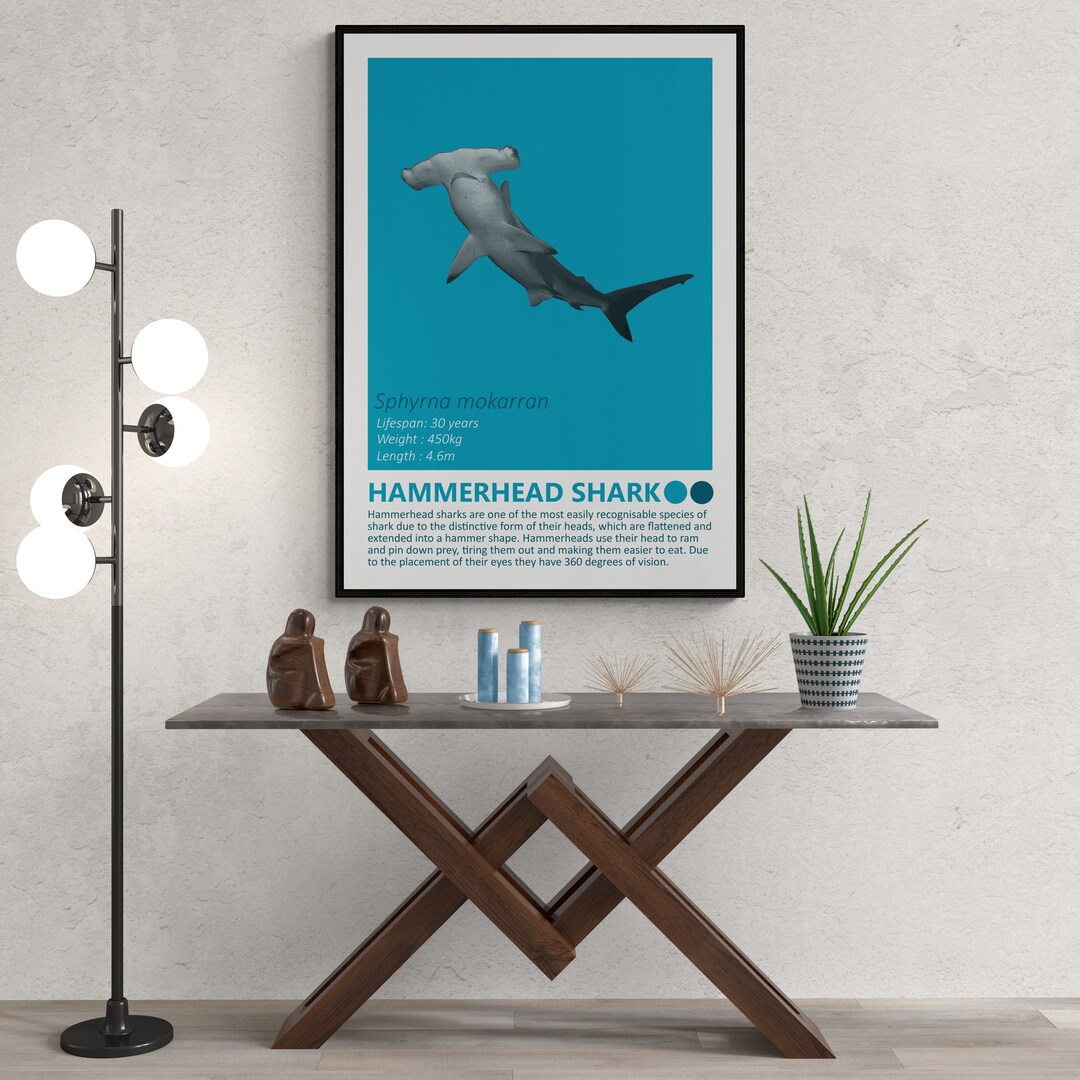 DIGITAL DOWNLOAD - Hammerhead Shark - Fact Sheet, Printable Art