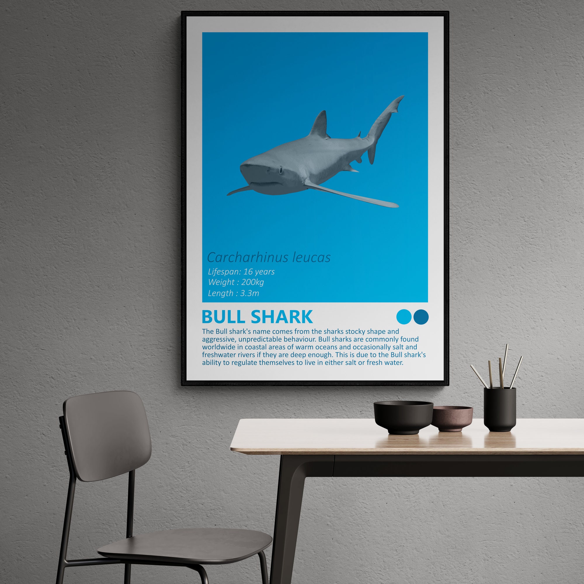 Sharks and Orca - Set of 7 Art Prints - Great White, Tiger Shark