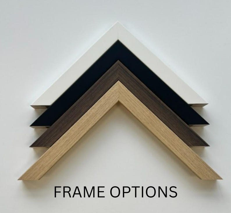 May include: A selection of picture frame options in various colors. The frames are arranged in a layered, angled composition, showcasing a range of colors including white, black, dark brown, and light brown. The text "FRAME OPTIONS" is displayed at the bottom.