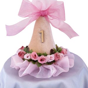 Gorro de cumpleaños para mascotas / Chapeau de fête fait main pour animal de compagnie