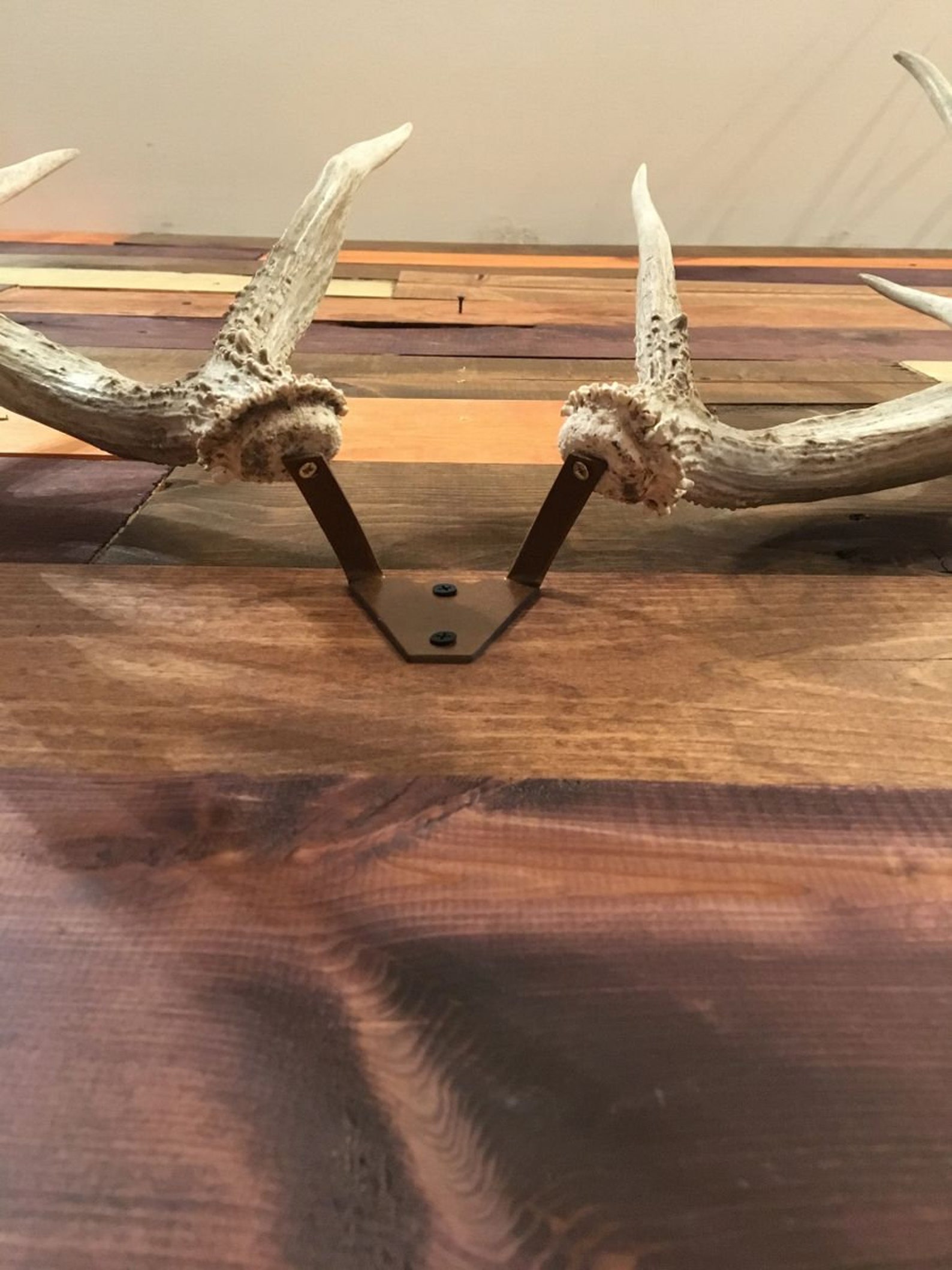 Shed Antler Mount Hanger Etsy