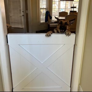 May include: A white wooden gate with a diagonal X design. A German Shepherd dog is peeking over the top of the gate with its tongue sticking out.