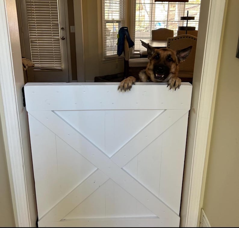 May include: A white wooden gate with a diagonal X design. A German Shepherd dog is peeking over the top of the gate with its tongue sticking out.