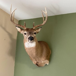 Adjustable Shoulder Mount Wall Hanger- Deer NOT Included