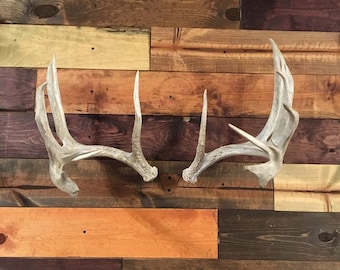 Shed Antler Mount Hanger